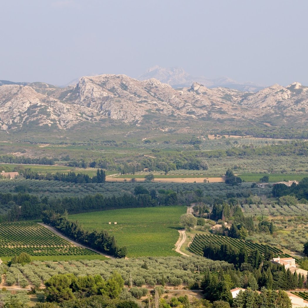 Alpilles 3