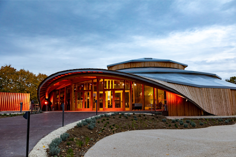 Kota the friend 2