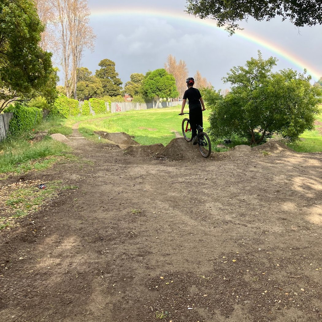 Circle Bike Park 3