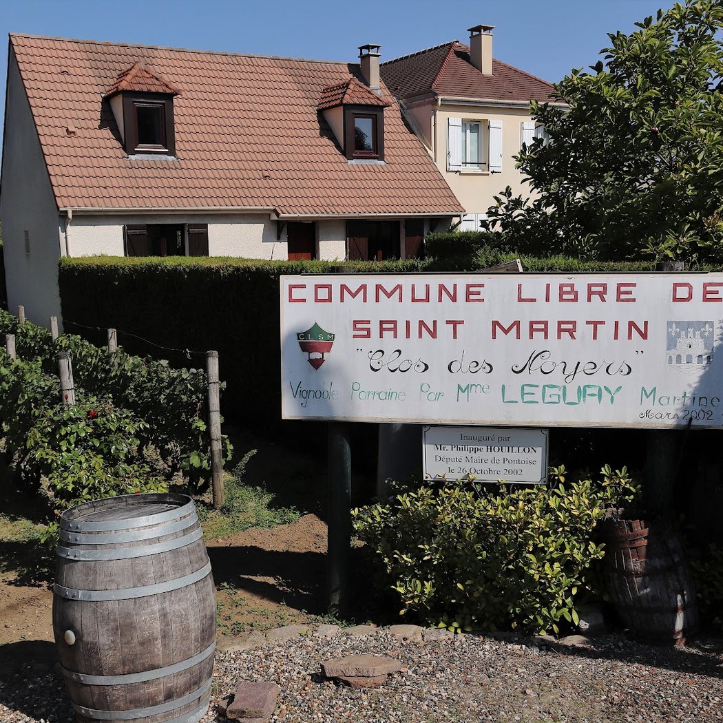 Vignoble de la commune libre Saint-Martin 1