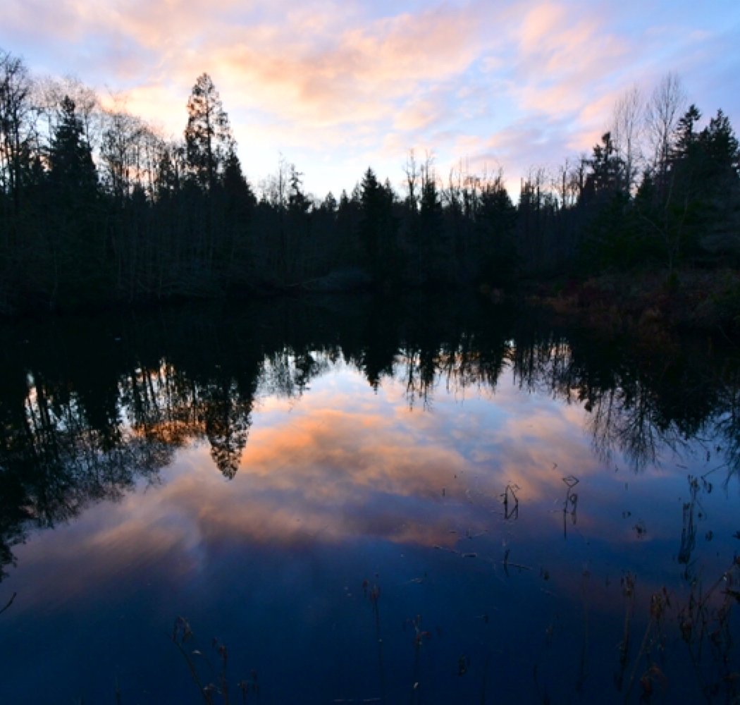 North Creek Trail 4