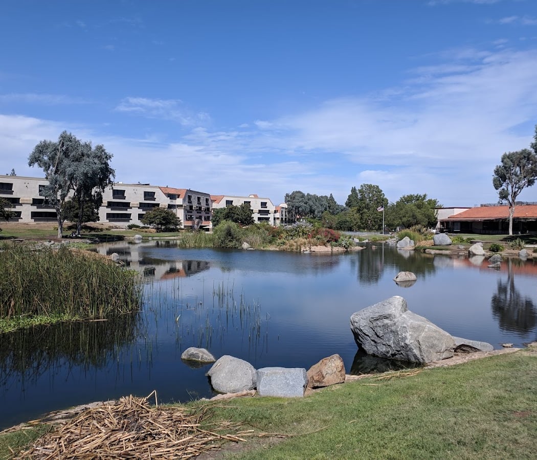 Webb Park 2