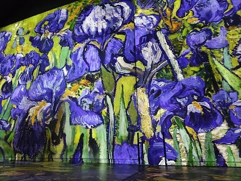 Exposition Foreign Nature 3