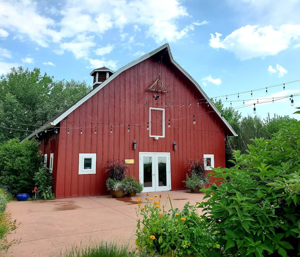 Mindful Birdwatching at Chatfield Farms 2