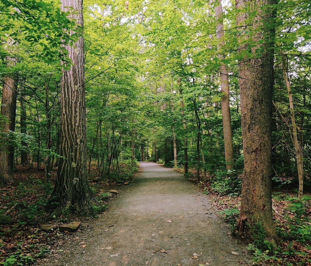 West Virginia Botanic Garden 2