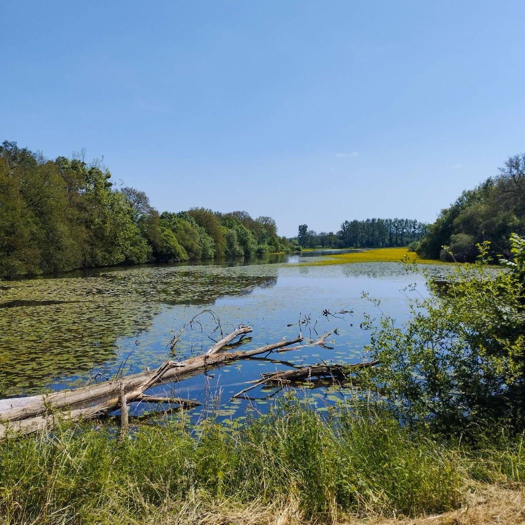 Étang de la Forge 2