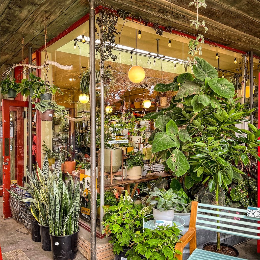 Flowerland Nursery 1