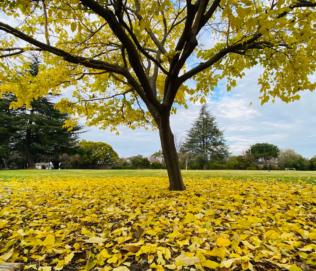 Jenny Strand Park 1