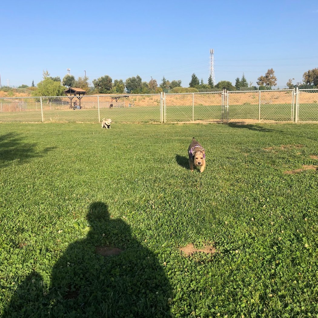 Highlands Ranch Dog Park 2