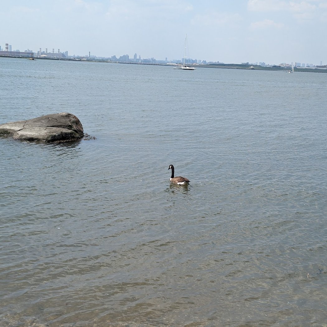 Big Rock Beach 2