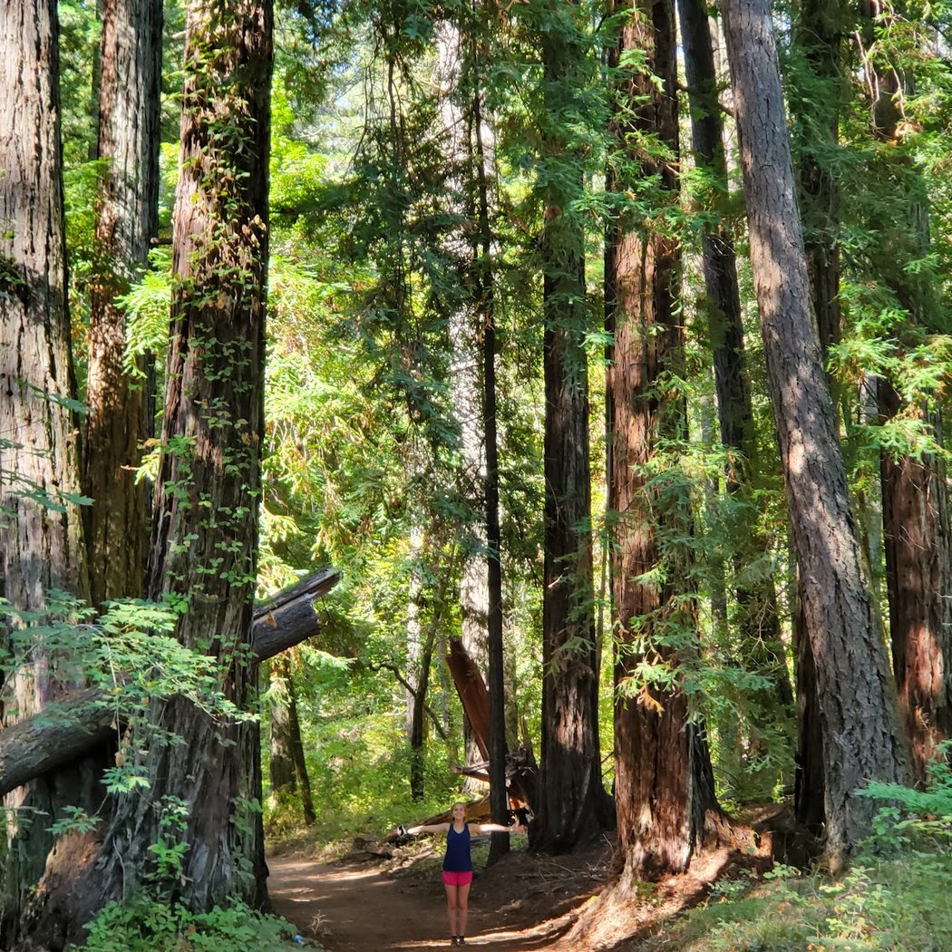 NVSP Saturday Guided EcoFitness Hikes 1