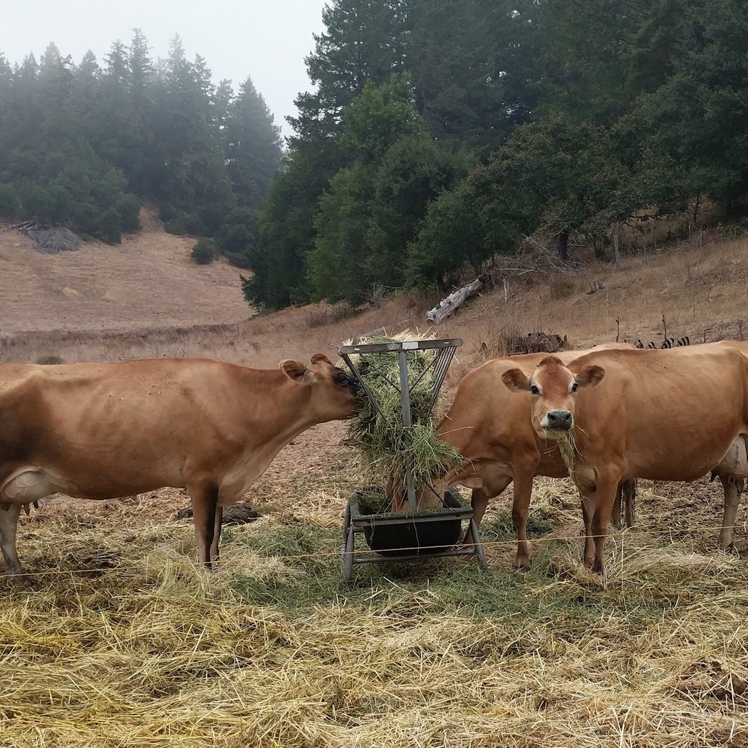 Green Valley Farm + Mill 3