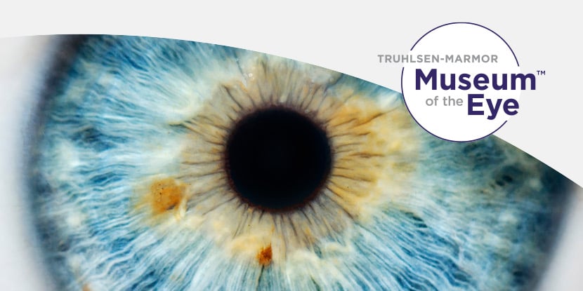 Truhlsen-Marmor Museum of the Eye 3
