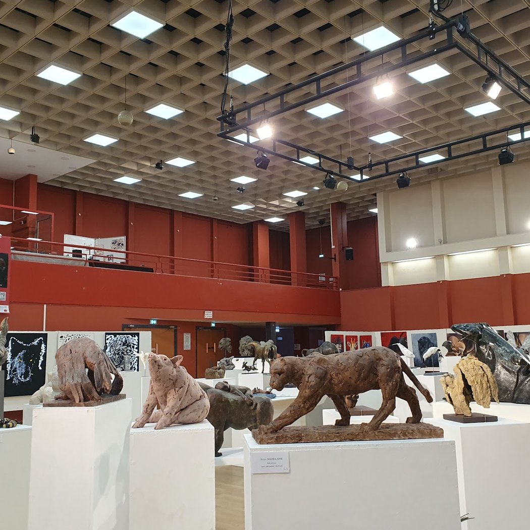 Salle Raymond Patenôtre 1