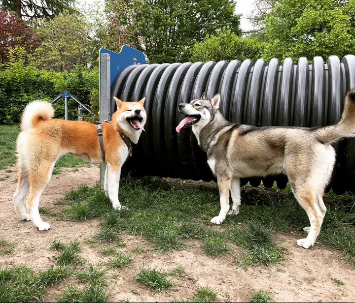 Parc Canins 1