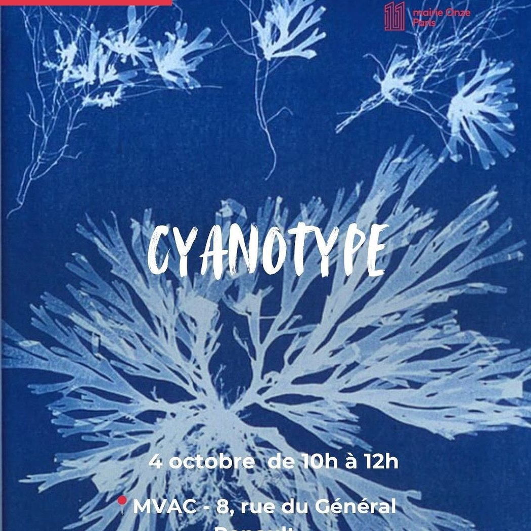 CYANOTYPE 1
