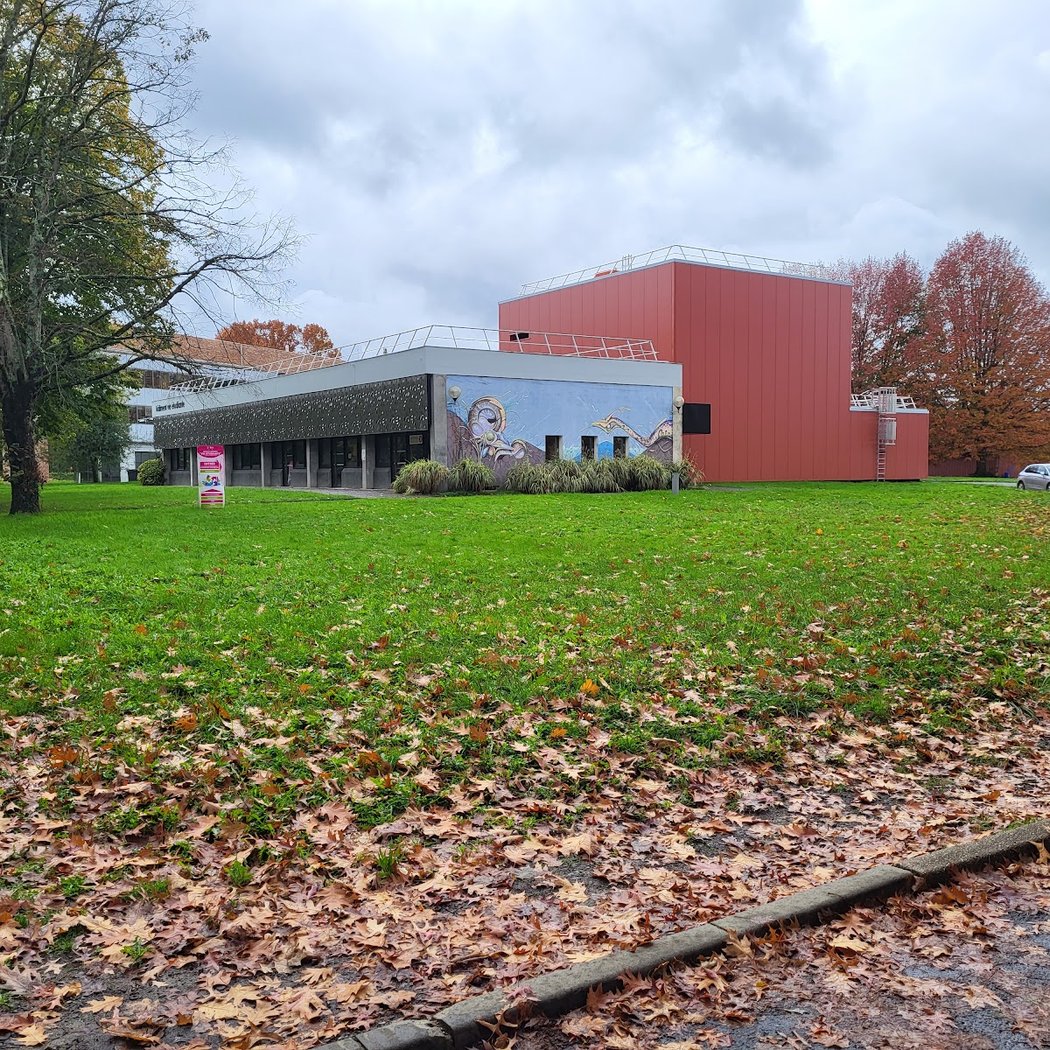Atelier de prévention autour de la vie affective et sexuelle 2