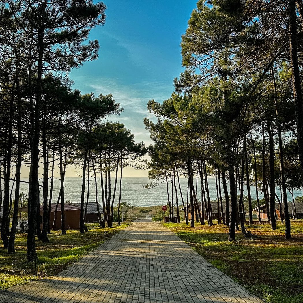 Ericeira Camping 3