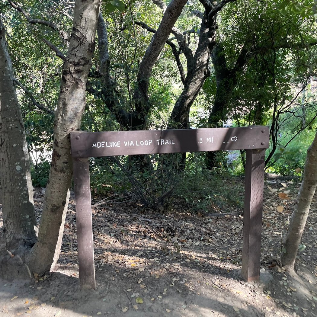 Mills Canyon - Arguello 3