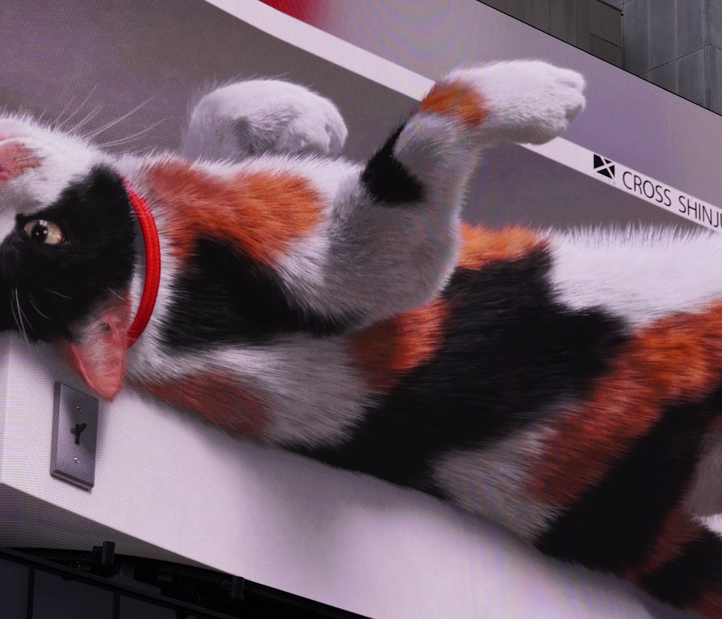 The Giant 3D Cat 1
