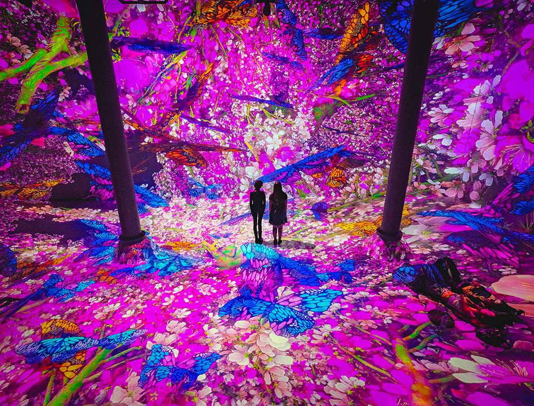 Blooming Wonders 2