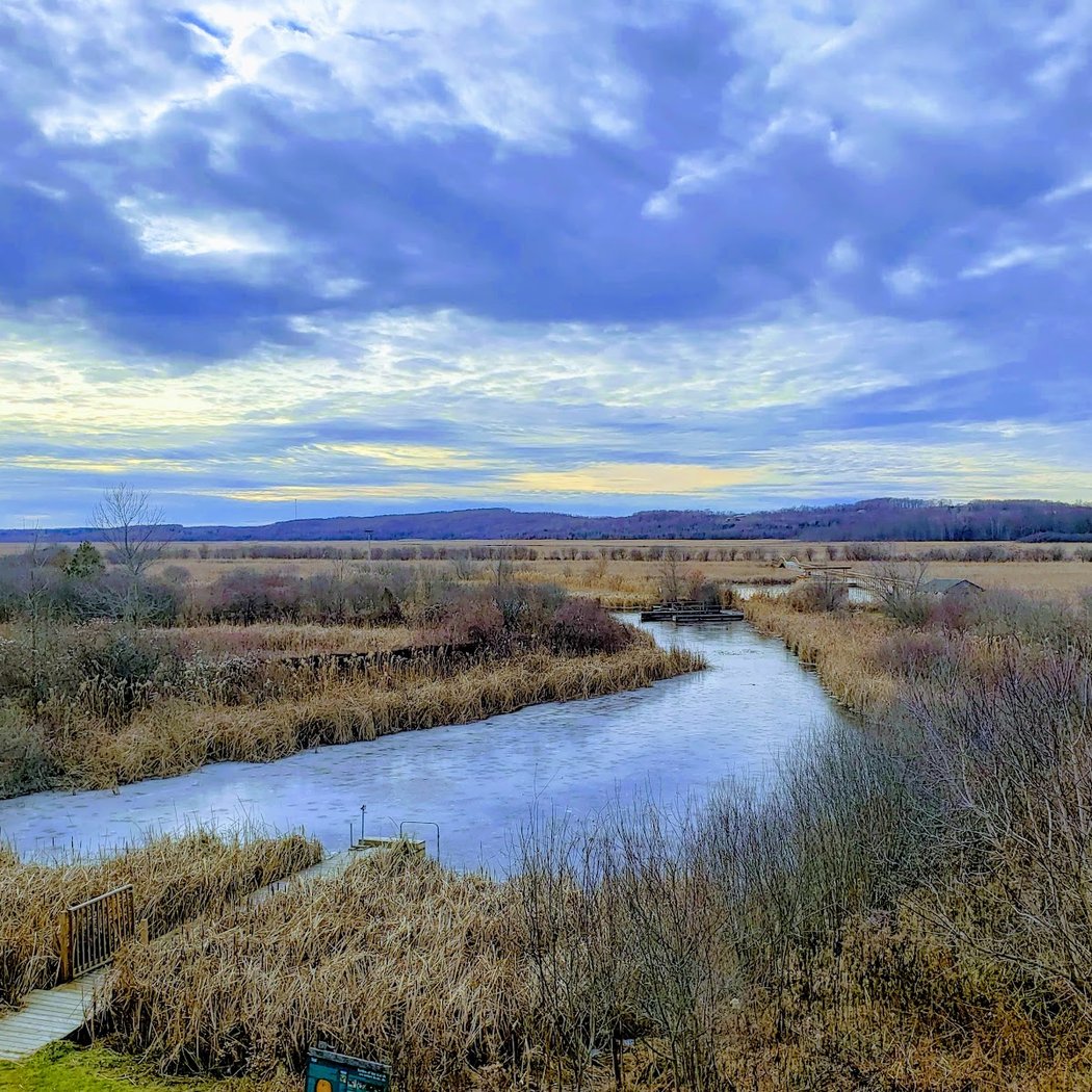 Wye Marsh Wildlife Centre 3