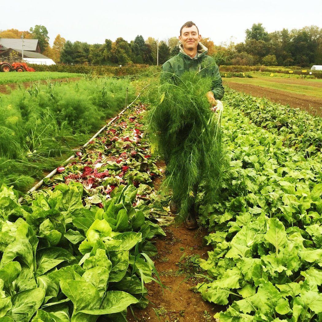 Poughkeepsie Farm Project 1