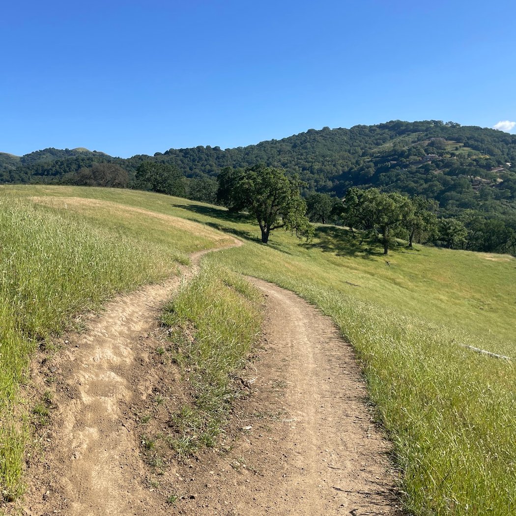Calero County Park 3