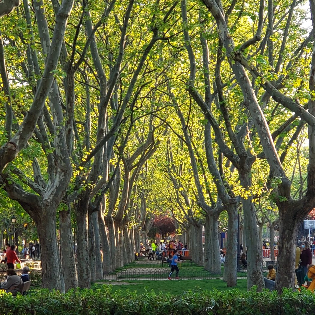 Parque El Calero 1