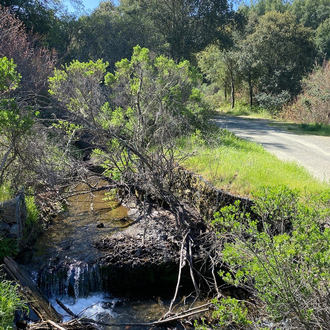 Lee Grove / Orchard Glen 3