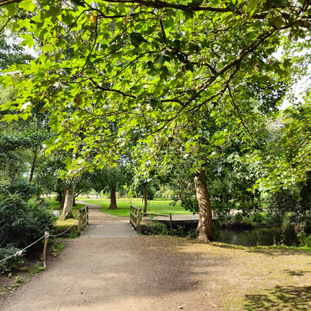 Bushy Park 3