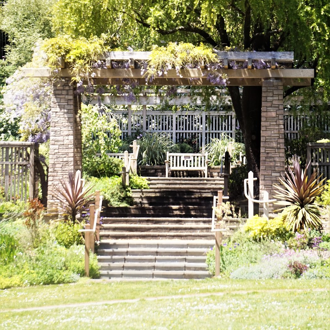 Zellerbach Garden of Perennials 3