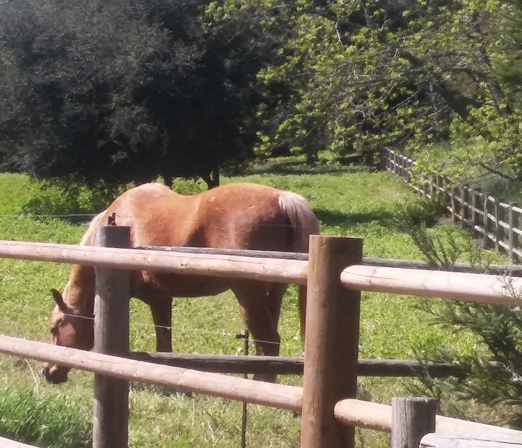Seabiscuit Ranch Wines 2