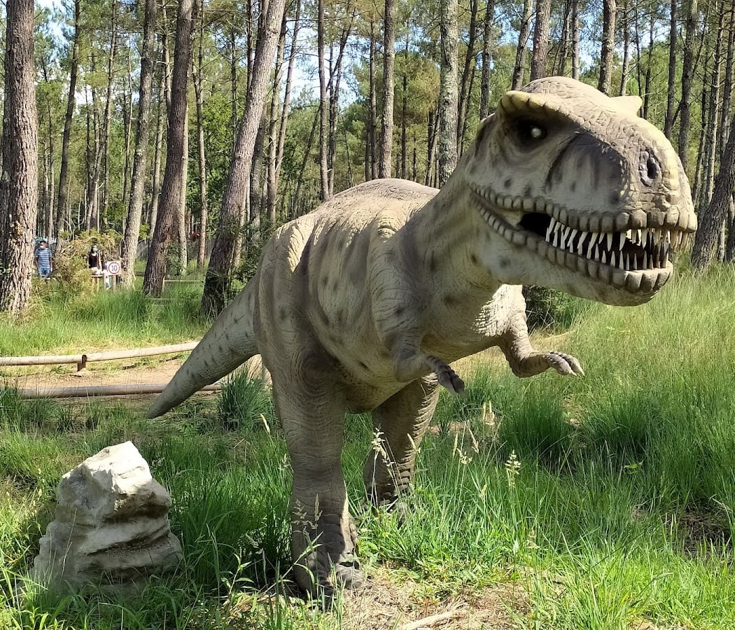 Dinosaures Parc 1