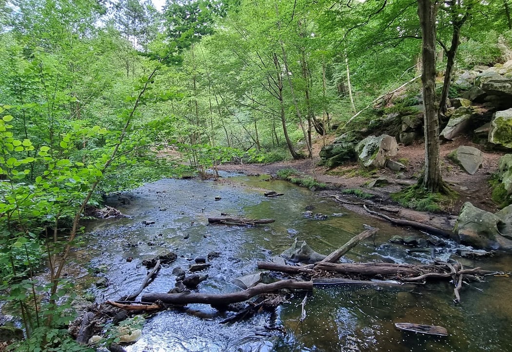 Le Sentier des Maréchaux 4