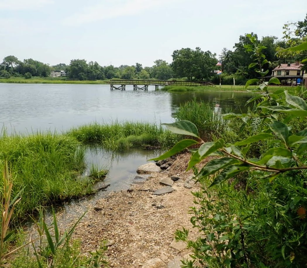 Udall's Cove Park Preserve 2