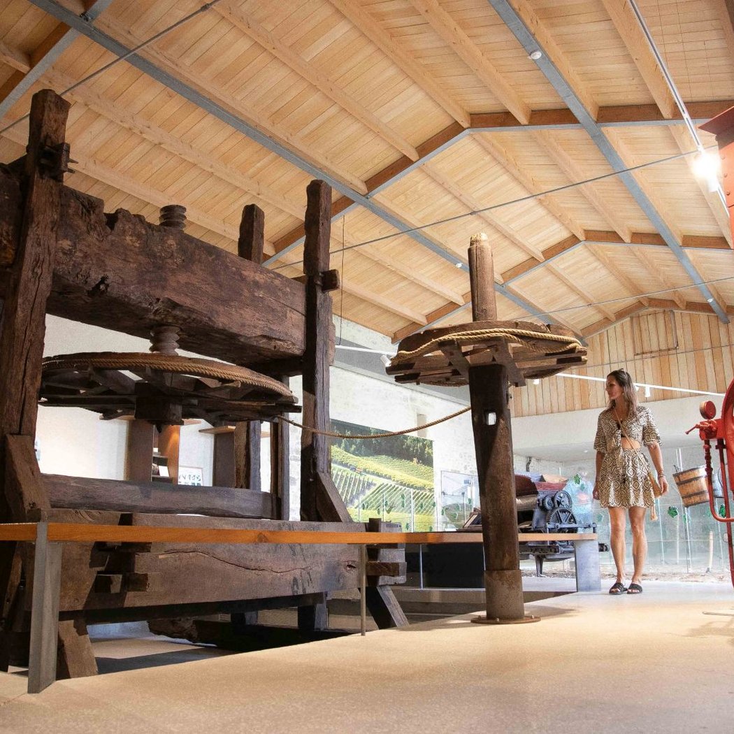 Musée des savoir-faire du cognac 3