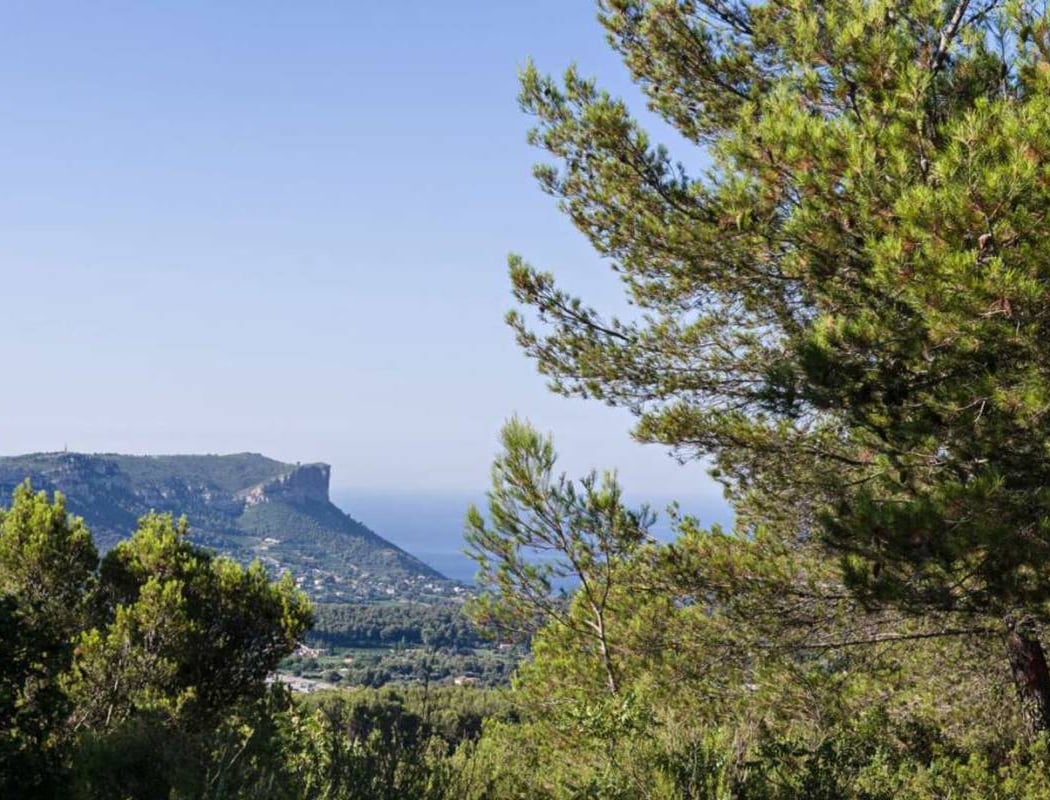 Colline du Nord de Carnoux en Provence 1