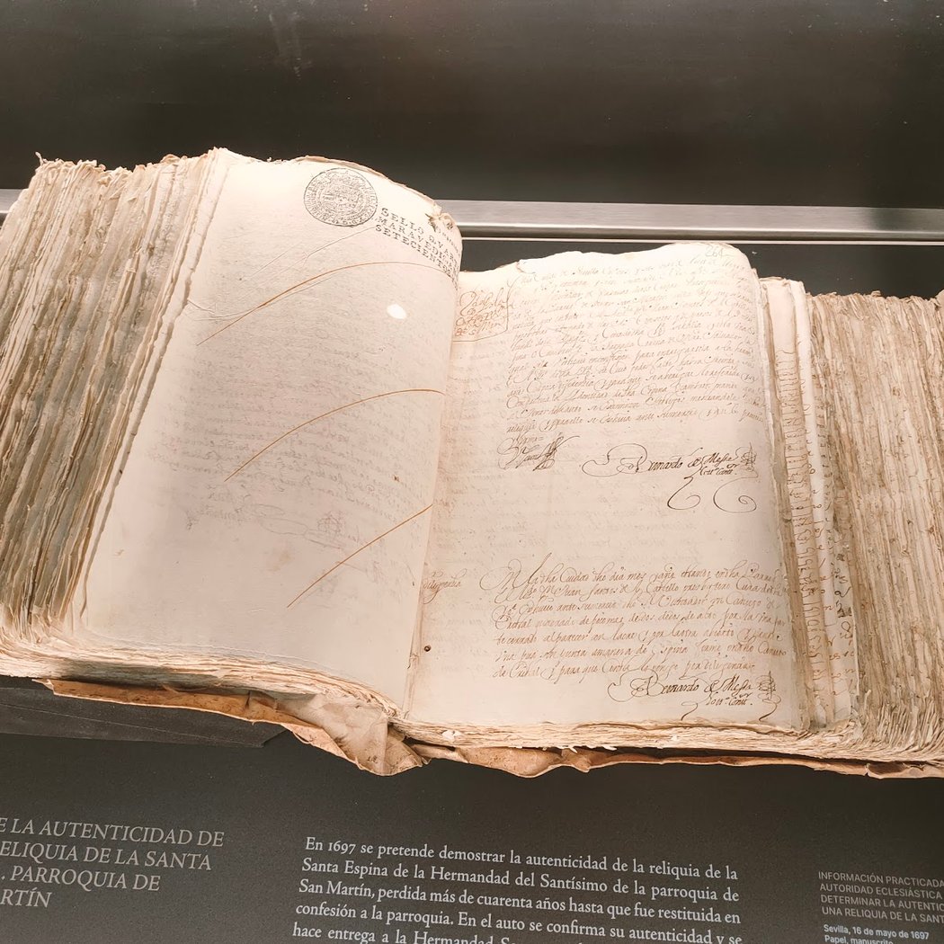 Exposición: 40 años en el Archivo Histórico Provincial de Sevilla 2026 1