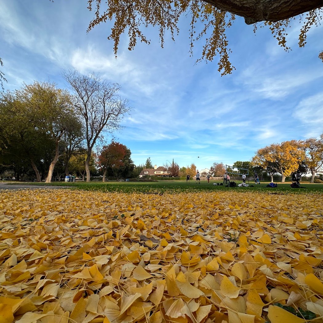 Ramos Park 1