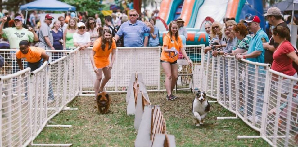 Pawfest Carnival 4