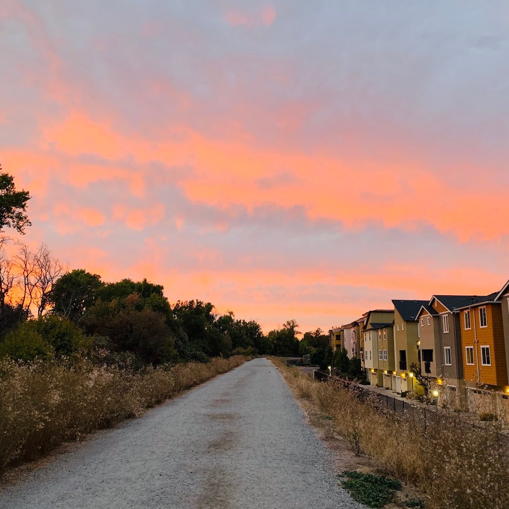 Coyote Creek 3