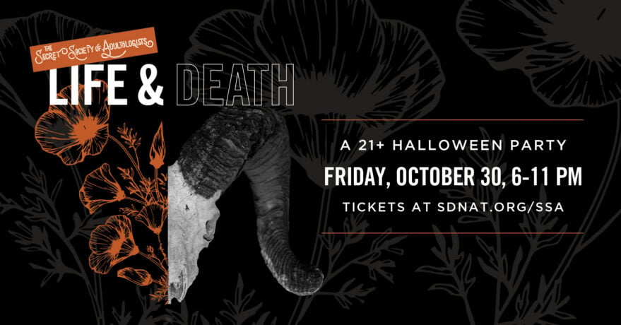 Secret Society of Adultologists: A 21+ Halloween Party
