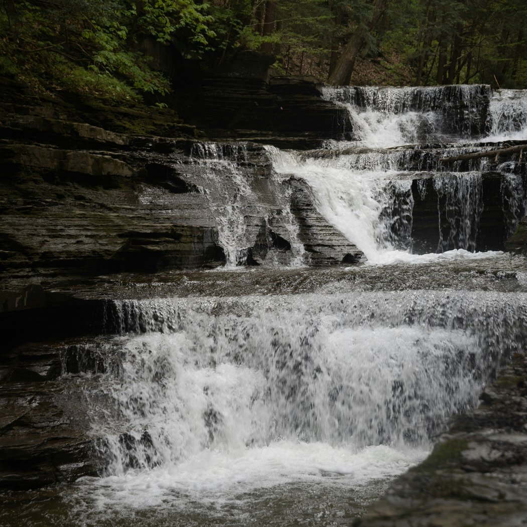 Cayuga Waterfront Trail 2