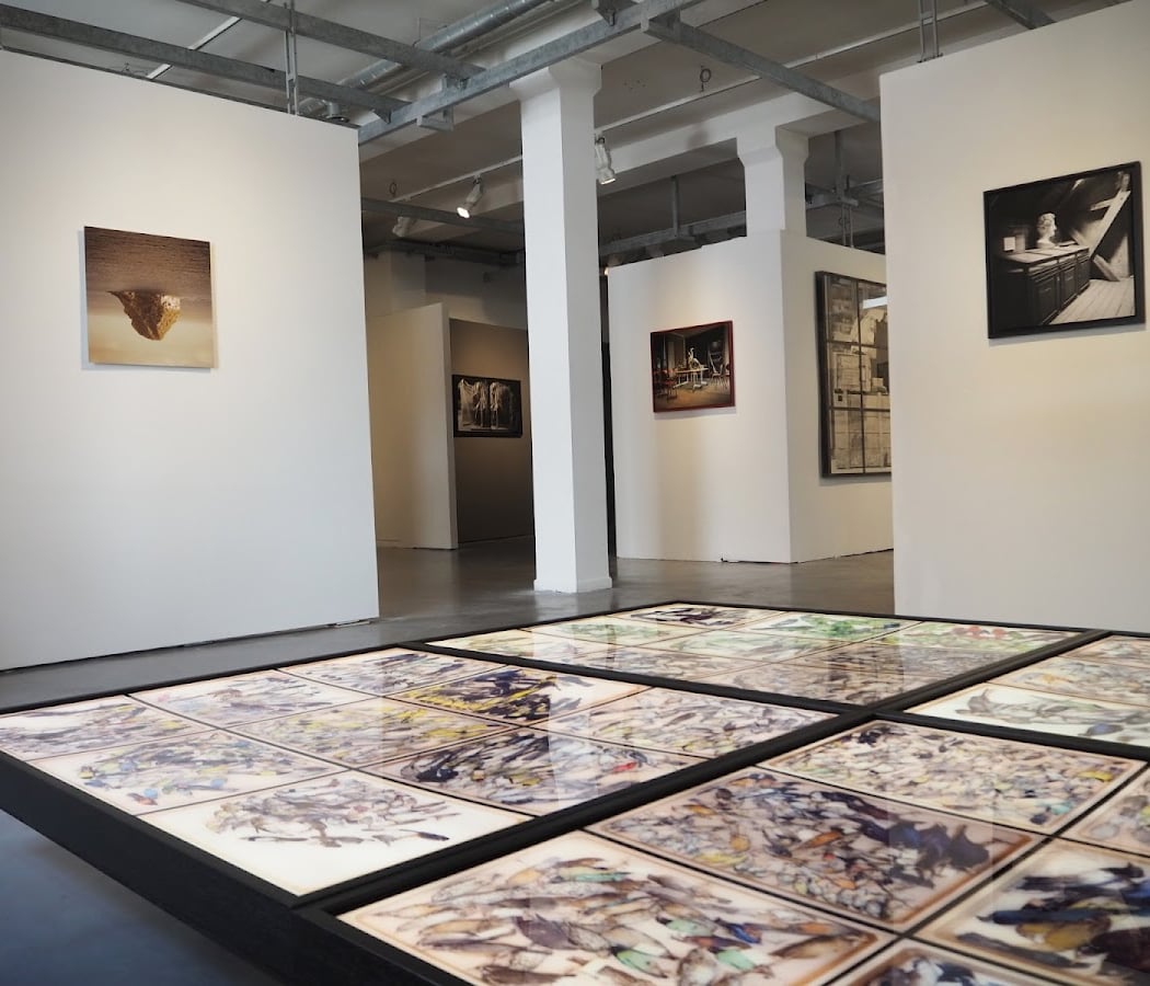 Nul Soleil. Mais le Feu — Alain Willaume Exhibition 3