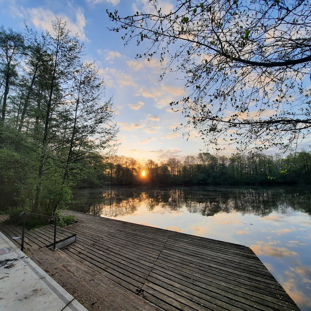 Wilhelmsburg Island Park 1
