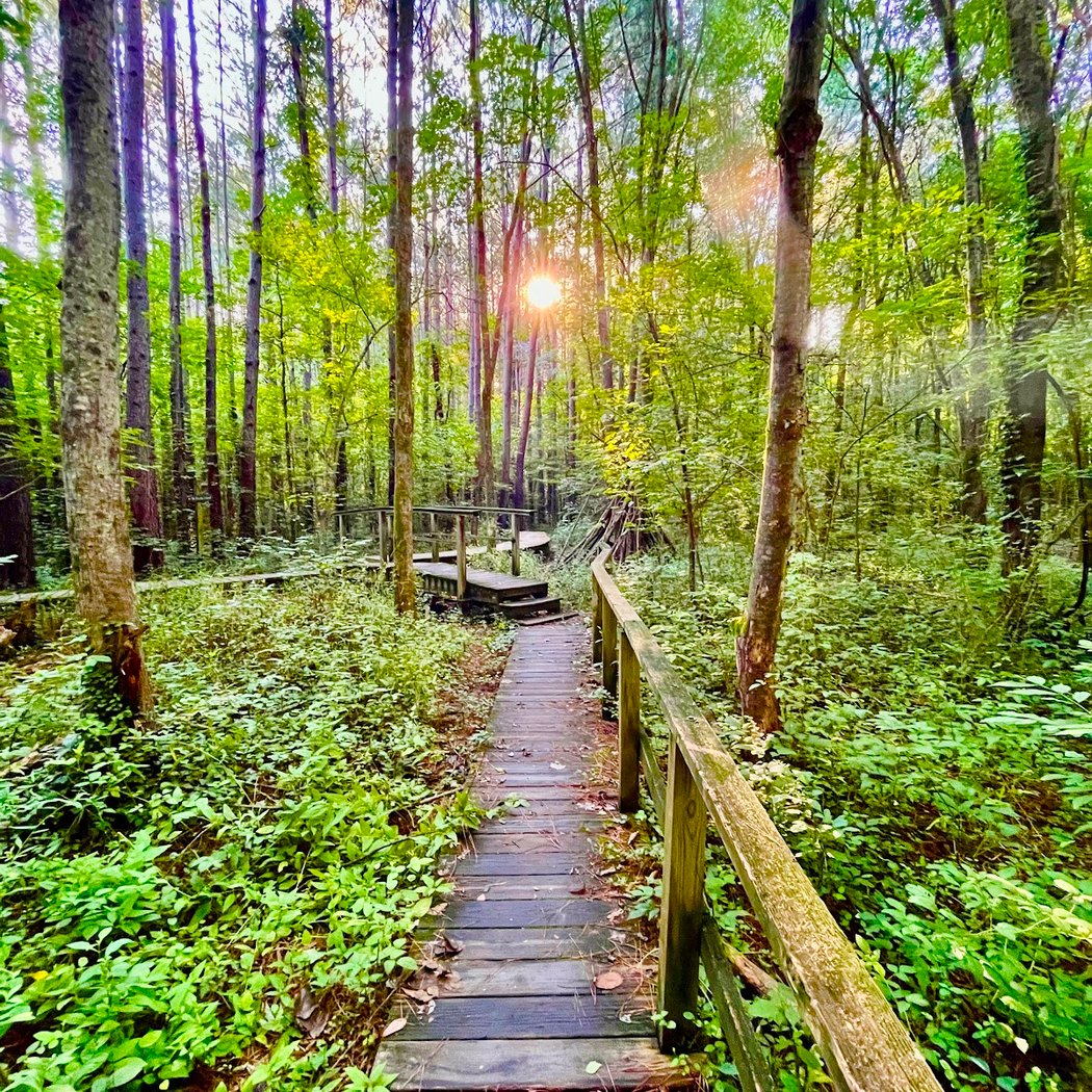 Clyde Shepherd Nature Preserve 1