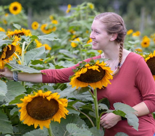 U-Pick Flowers 2