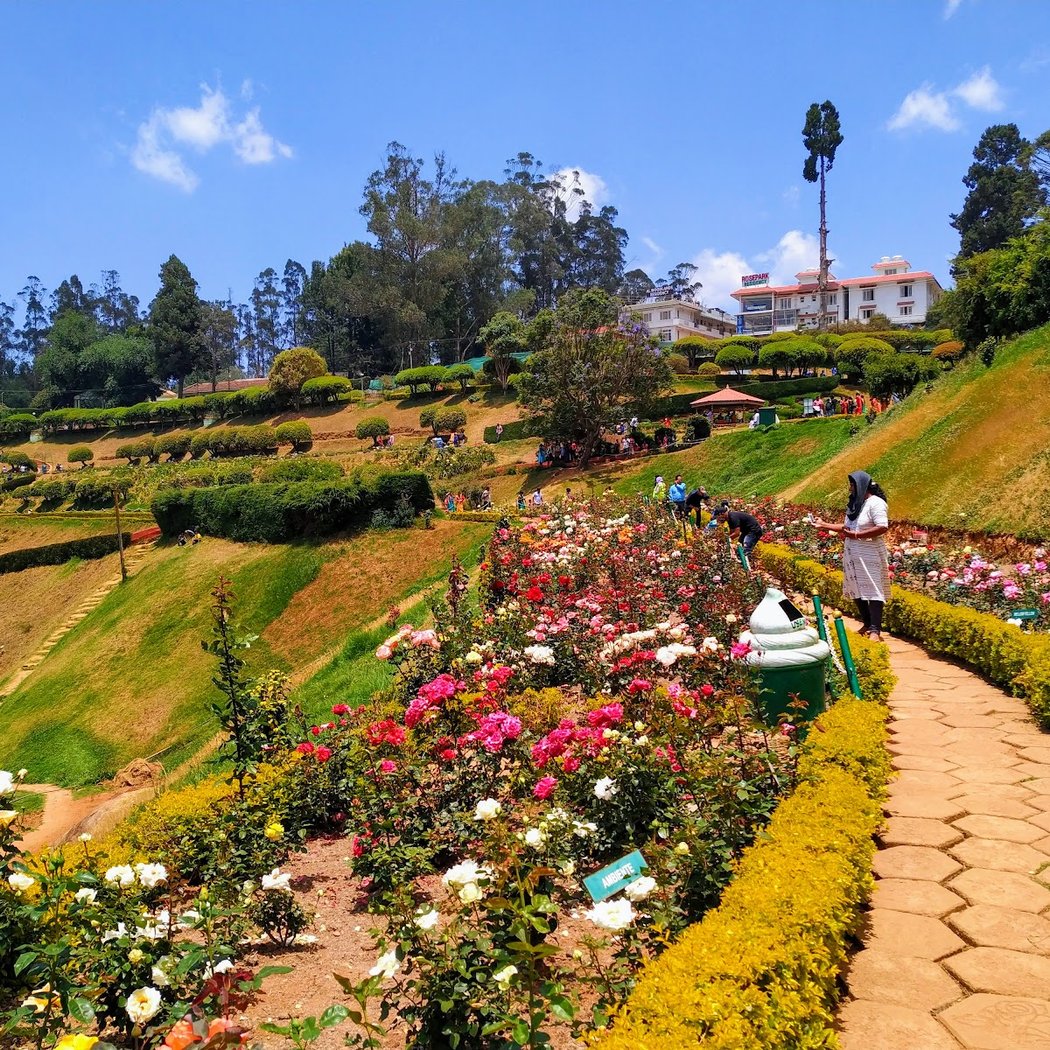 Government Rose Garden 1