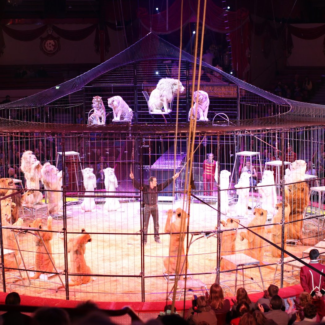 Circus Krone 3